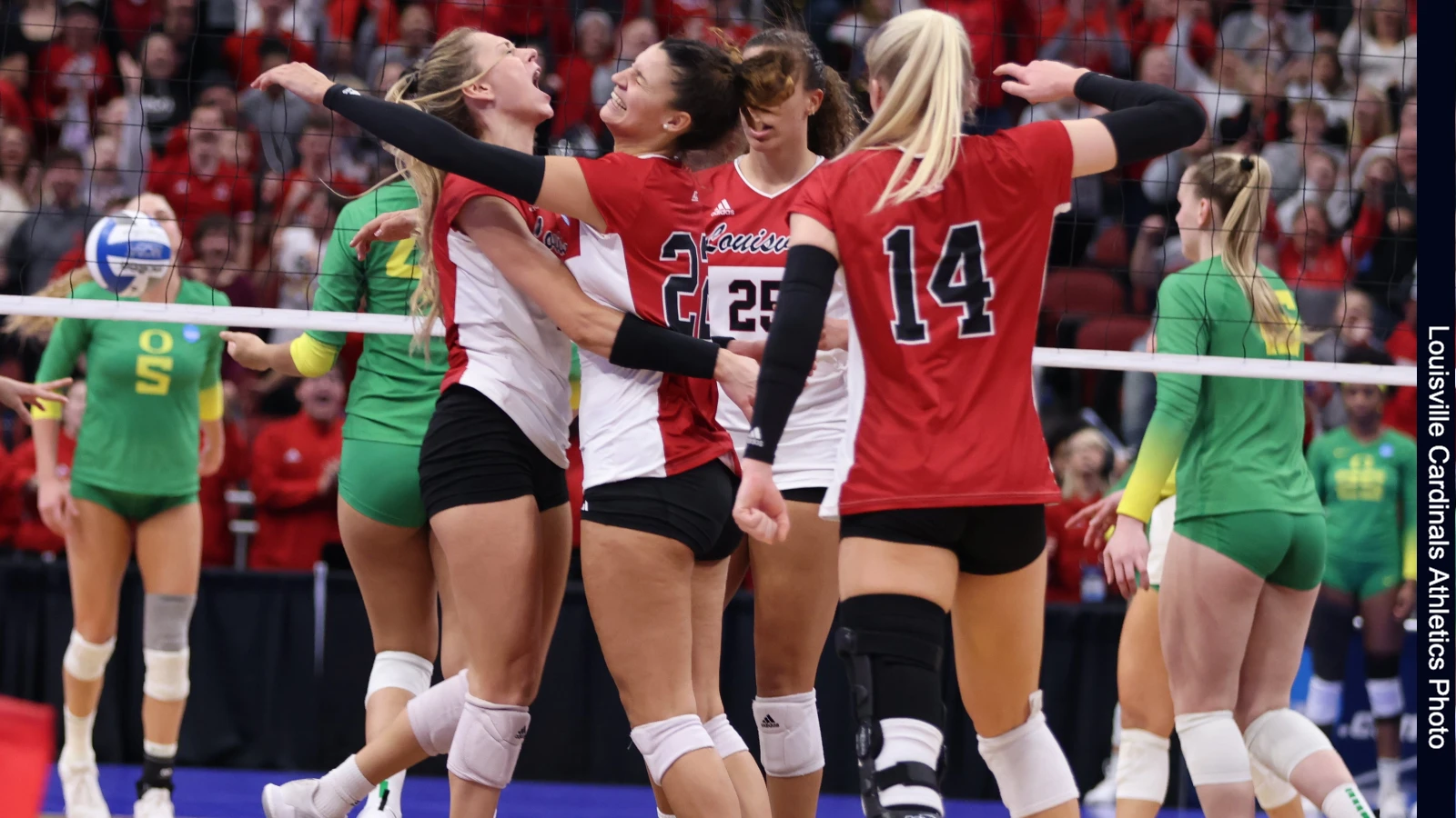 Louisville Cardinals advanced to NCAA Volleyball National Semifinal