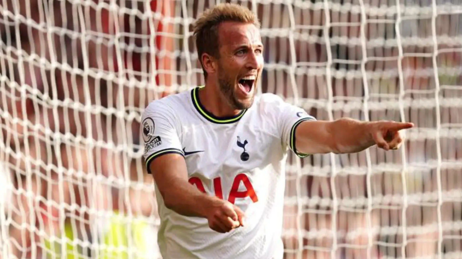 Harry Kane reacts after scoring for Tottenham in the Premier League